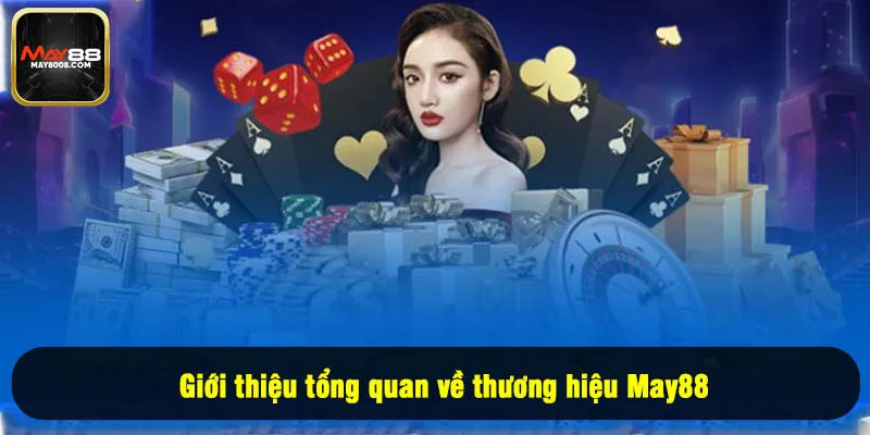 Giới thiệu tổng quan về thương hiệu May88