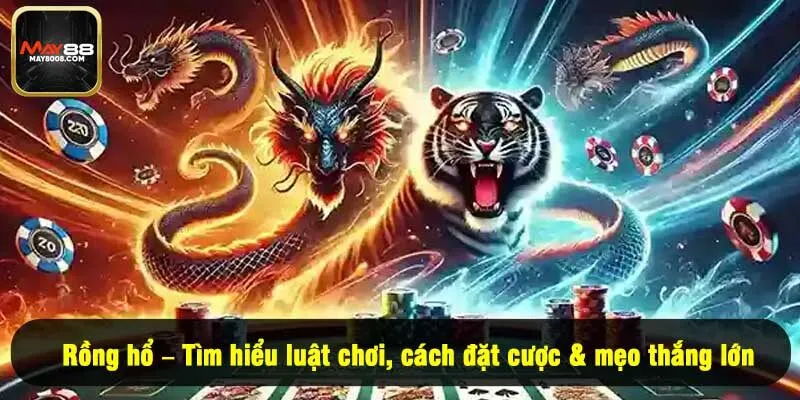 Rồng hổ – Tìm hiểu luật chơi, cách đặt cược & mẹo thắng lớn